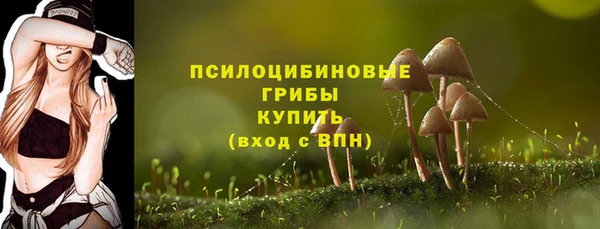 Альфа ПВП Заволжье