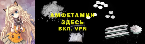 молекула духа Ельня