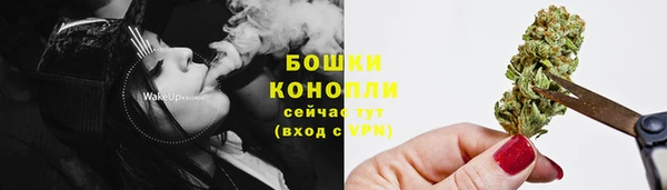 молекула духа Ельня