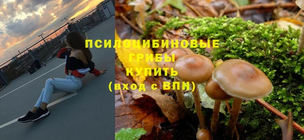 трава Заволжск